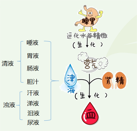 吃便啦啦能不能吃保健品、药品？